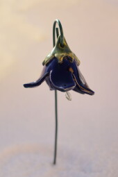 Květina - modrý zvonek