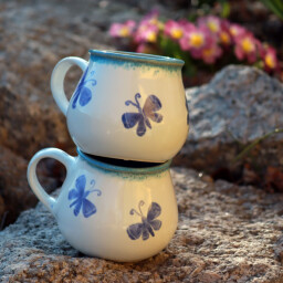 Hrnek s motýlky