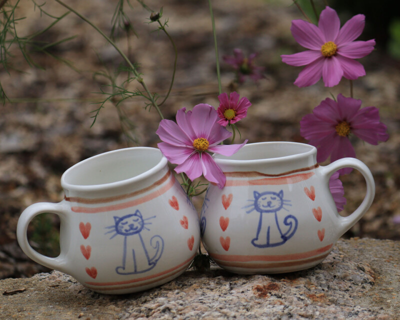 Hrnek  s kočičkou a srdíčky